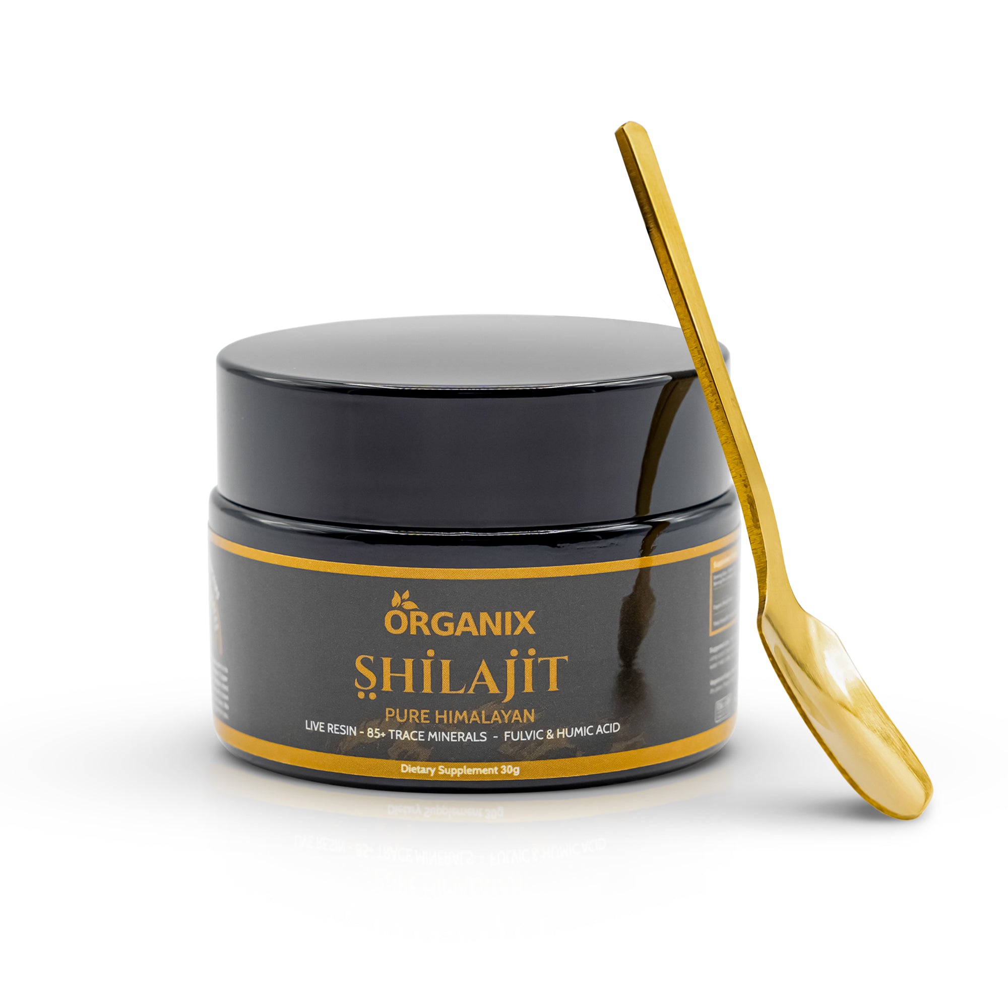 Himalayan Shilajit